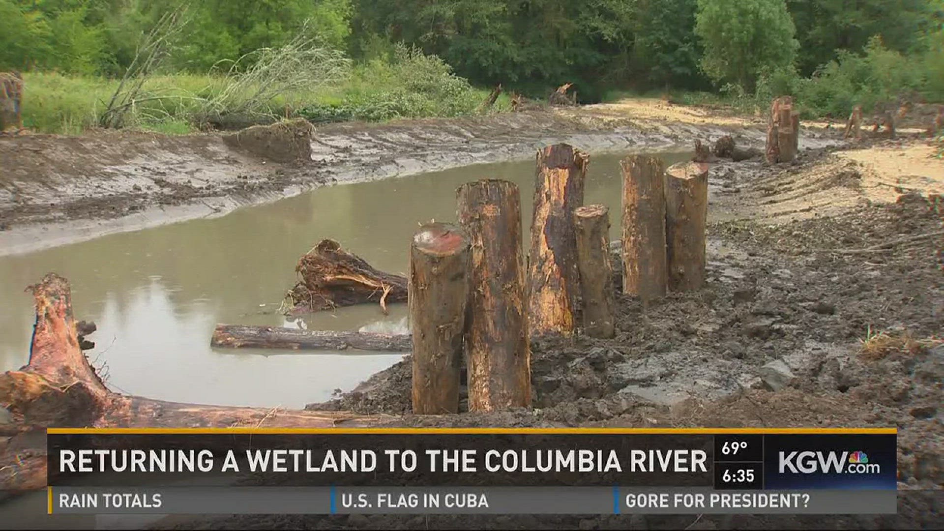 Returning a wetland to the Columbia River