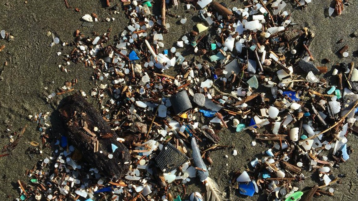 'Just unbelievable': Piles of trash washing up on Oregon Coast | kgw.com