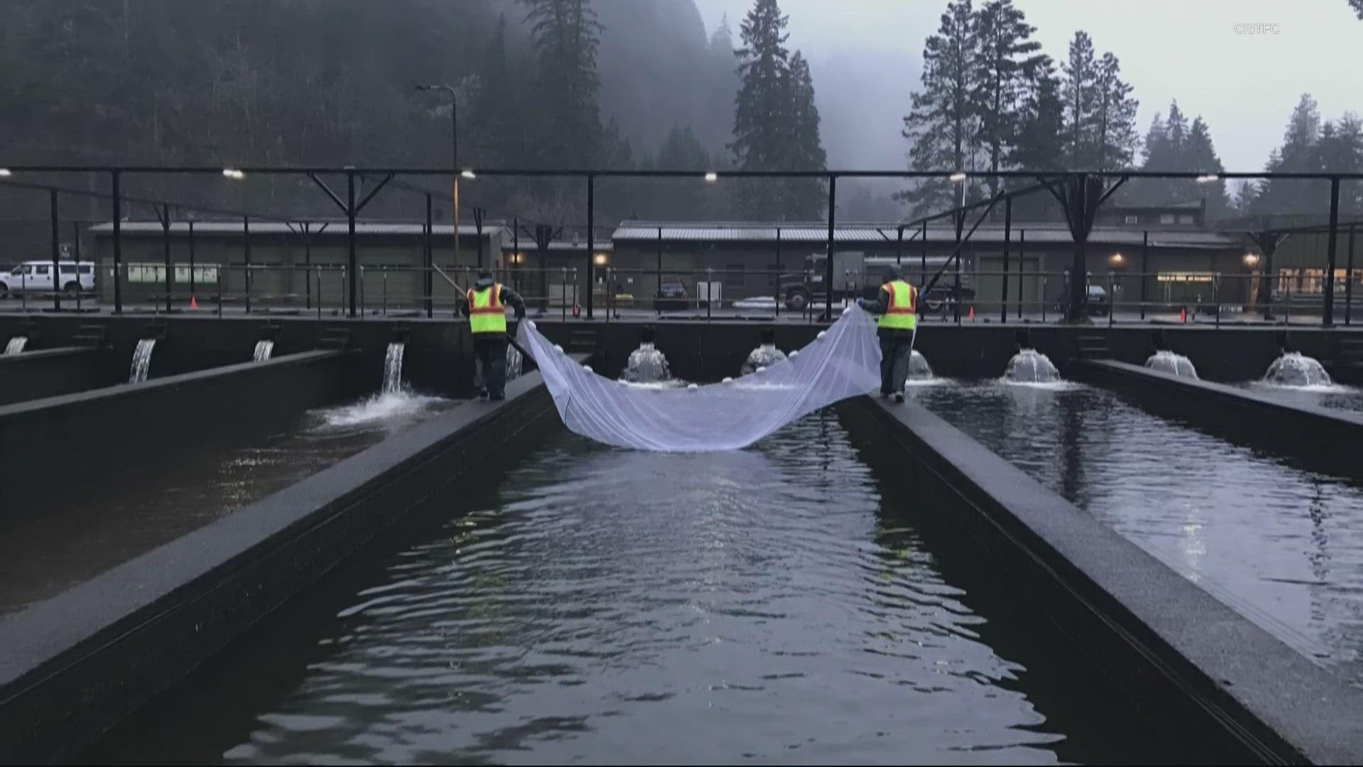 From the Inflation Reduction Act, $240 million will go to tribes for the recovery of salmon populations. That will help with a long backlog of maintenance needs.