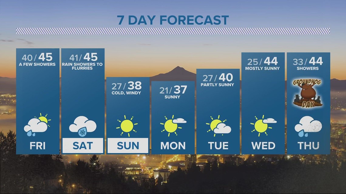VERIFY No, hundreds of scientists didn't sign a declaration that