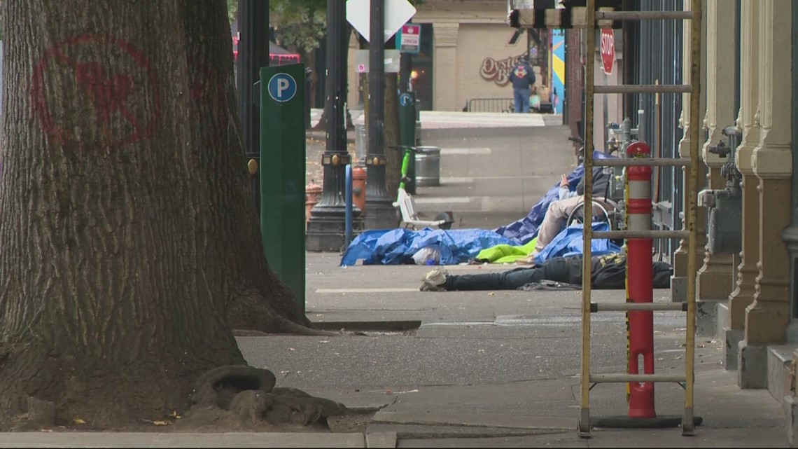 Group of homeless people sues Portland, Oregon, over new daytime camping  ban