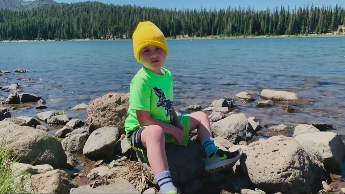 Boy, 7, battling leukemia aims for the trip of a lifetime - Vimarsana News