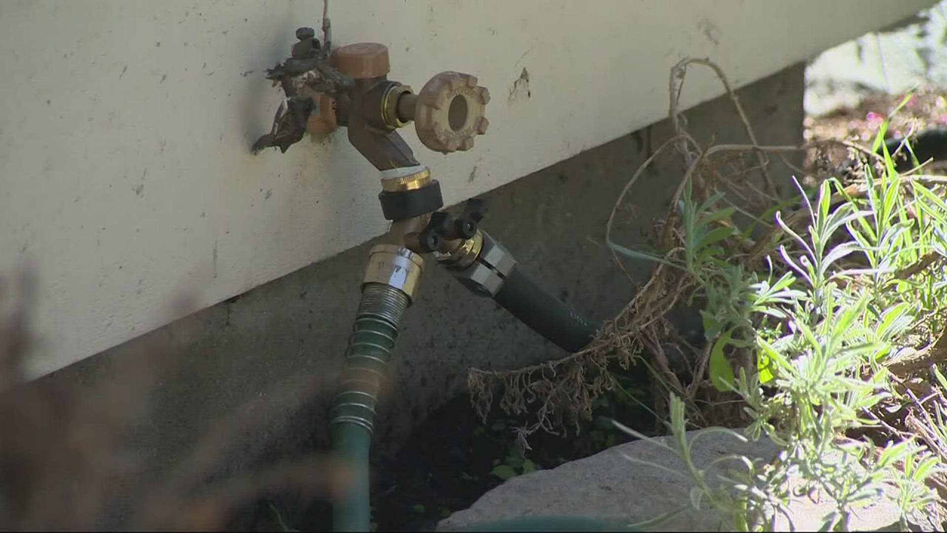 Vandal turning on outdoor water faucets