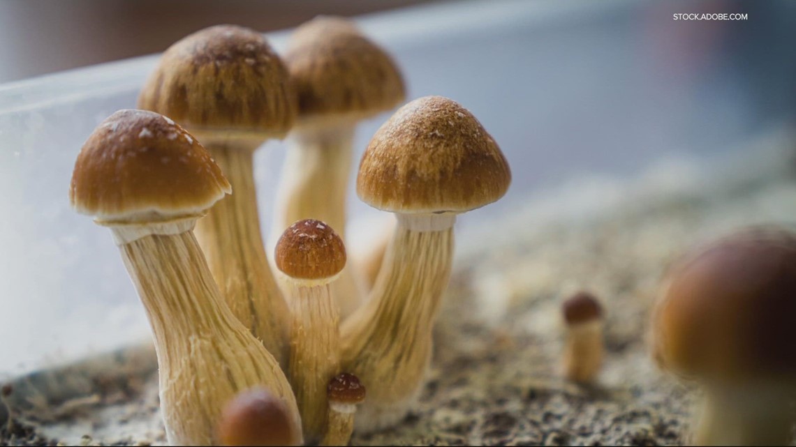 Oregon Opens The Gates For Legal Psilocybin Industry | Kgw.com