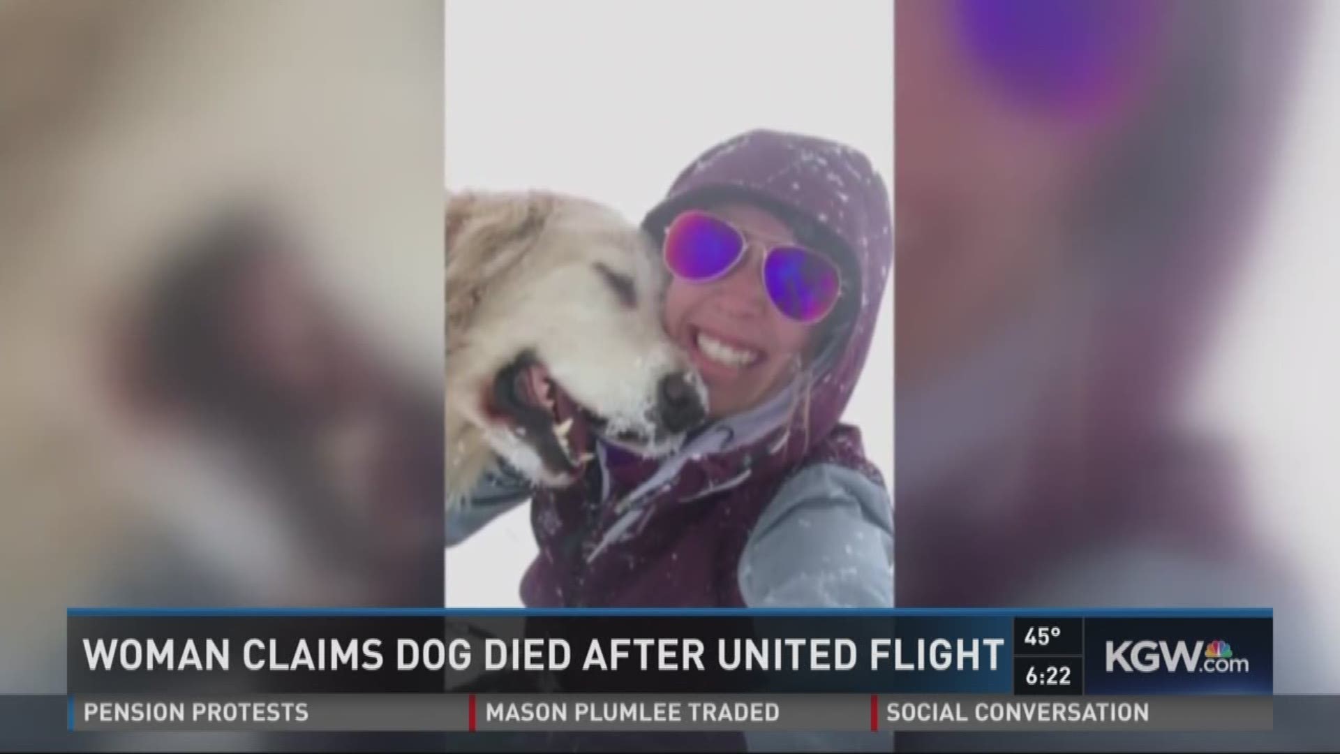Woman claims dog died after United flight
