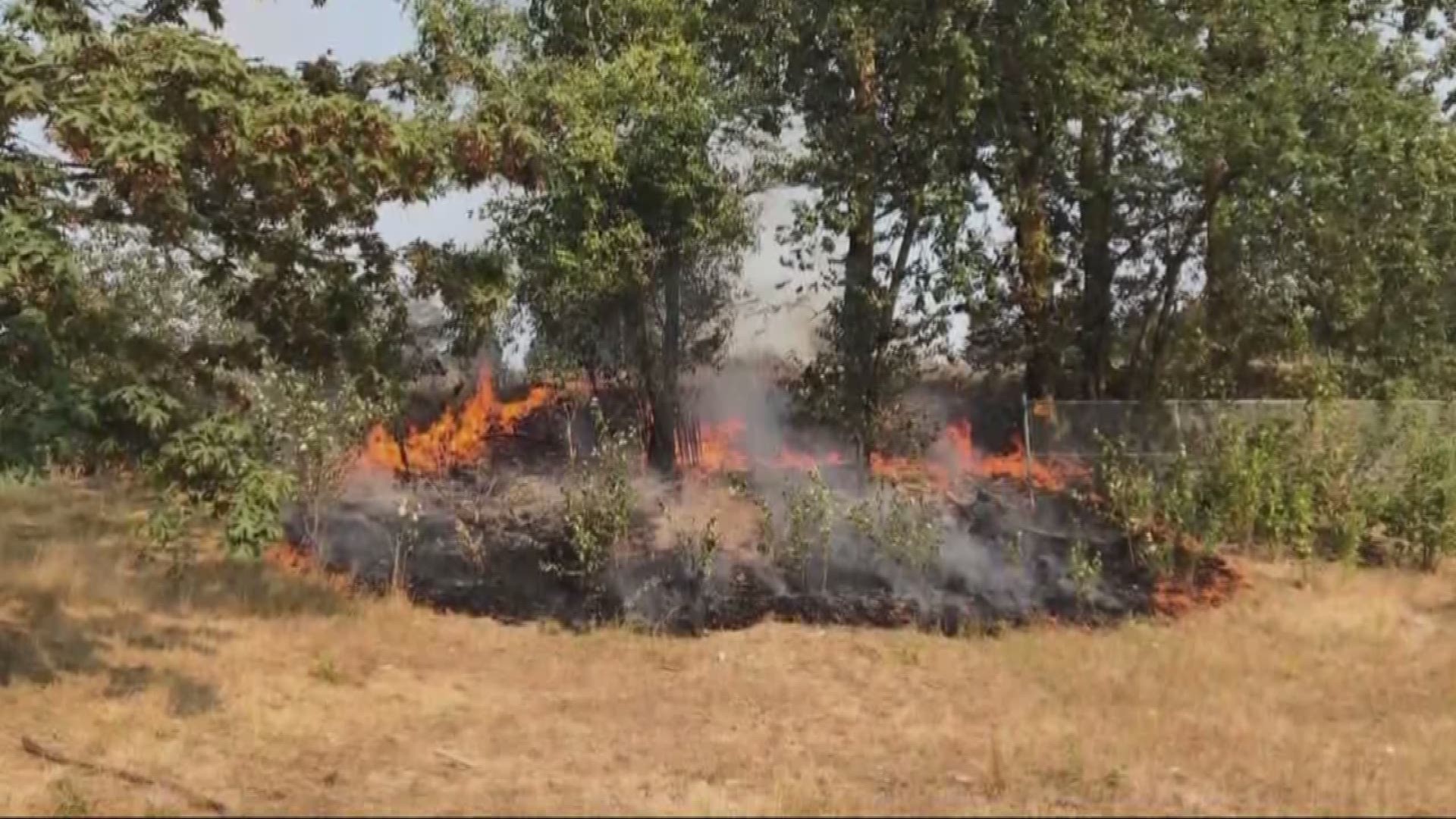 Fire crews say an uptick in grass fires along freeway is worrisome. Several recent ones in Portland were caused by the homelees. Others may have been a discarded cigarette butt.