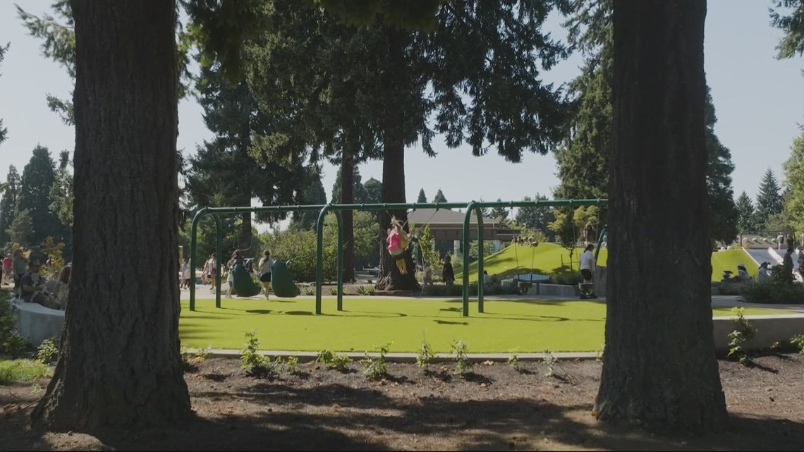 Harper's Playground opens accessible playground in Washington - Vimarsana News