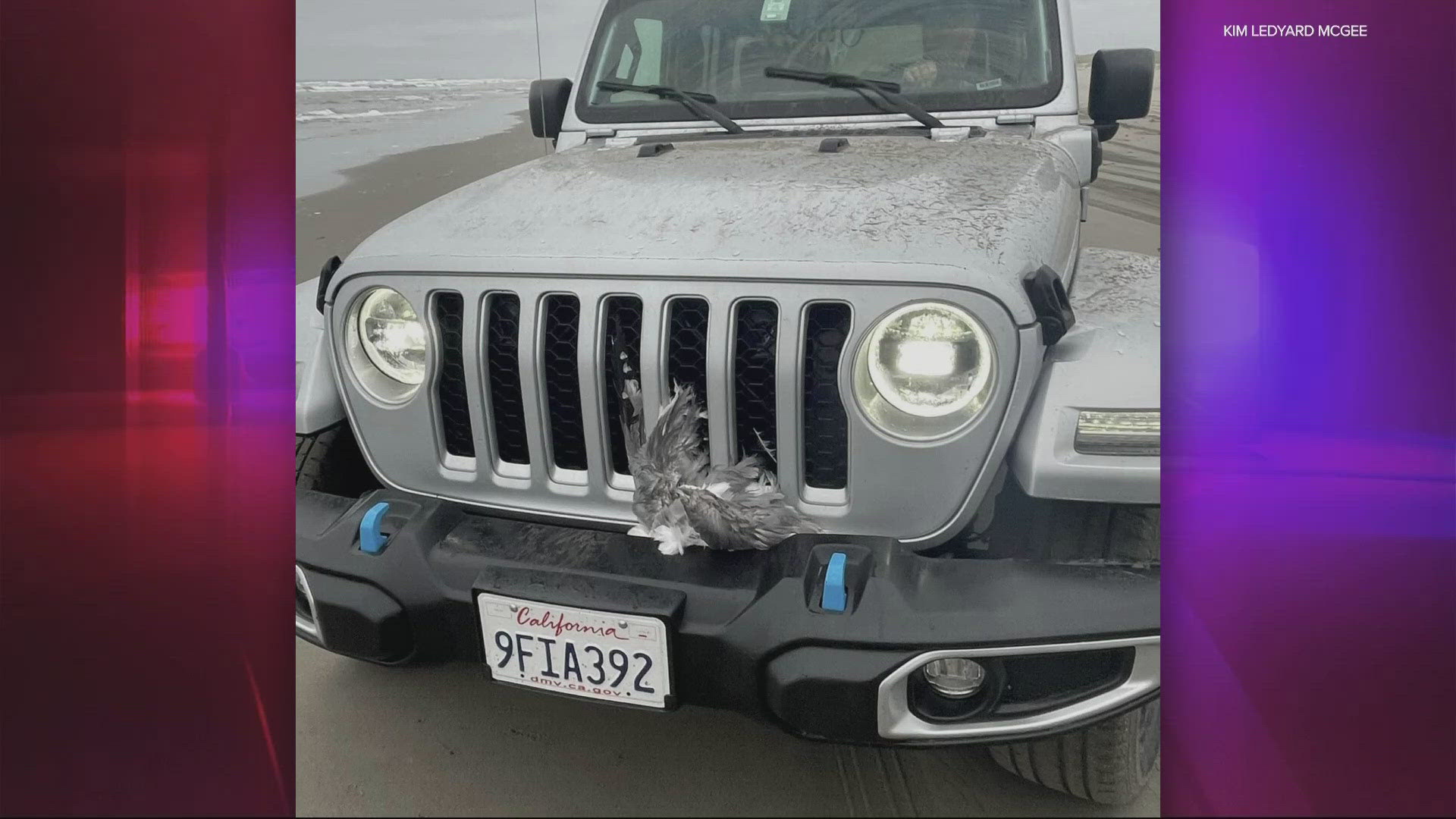 Authorities are looking for a man who sped across the beach and through a flock of seagulls in southwest Washington, nearly hitting beachgoers.