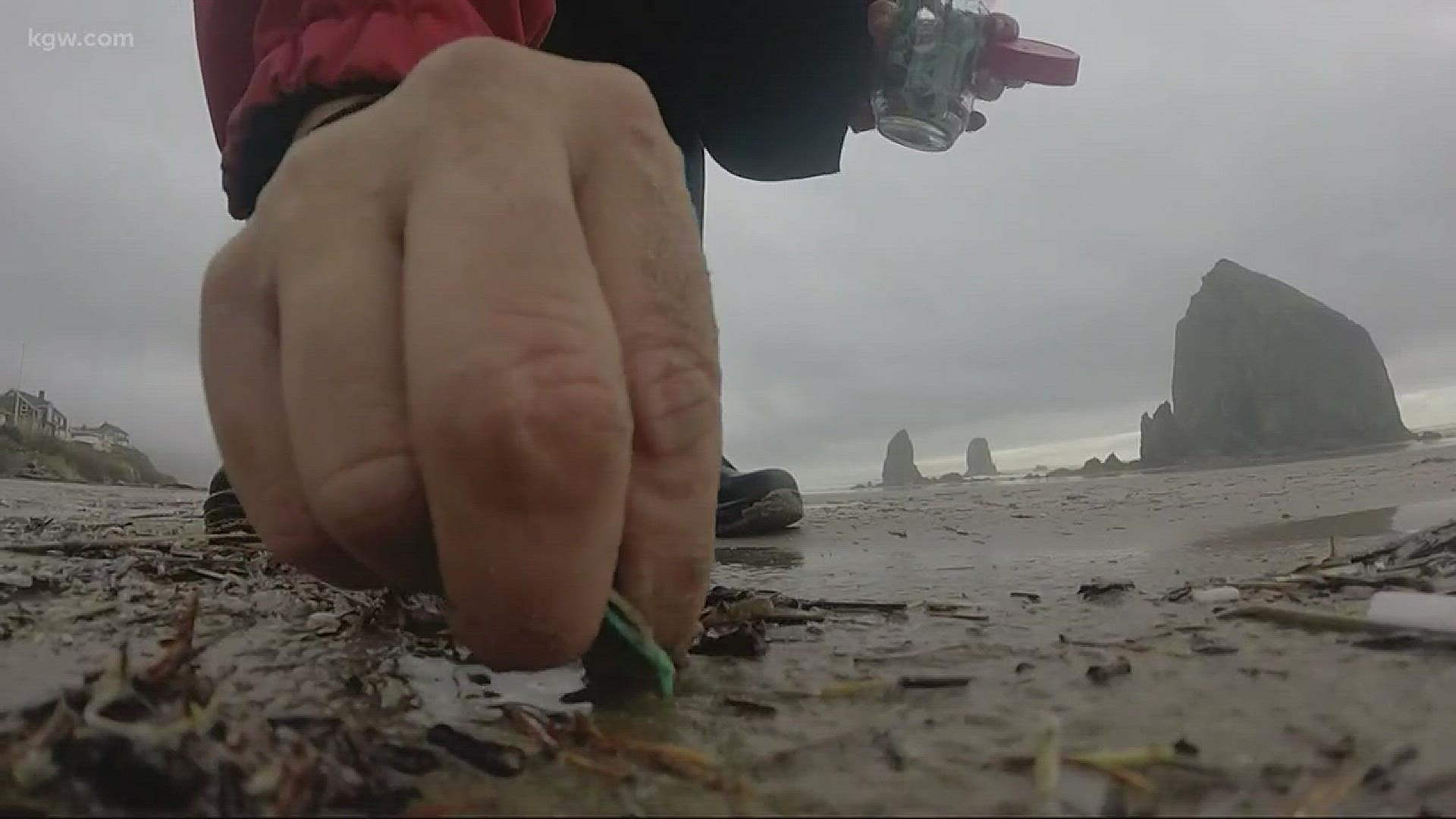 They wash up onto our beaches every day. Tiny bits of plastic. But one woman has found a way to turn that trash into treasure. KGW environmental reporter Keely Chalmers has the story.