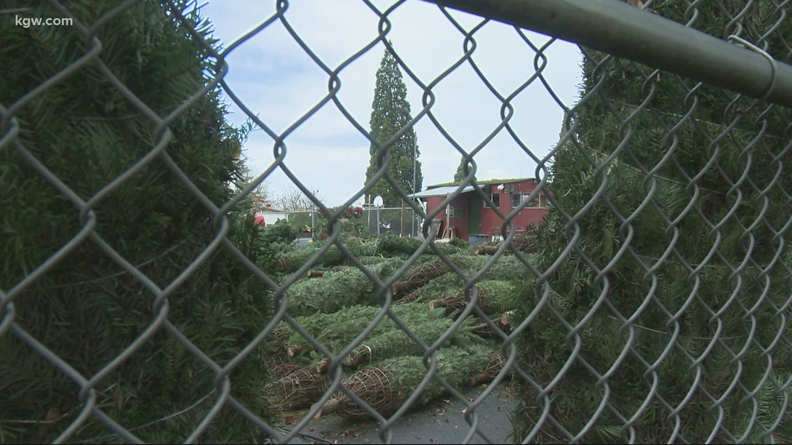 Christmas tree lots in Portland prepare for COVIDsafe shopping