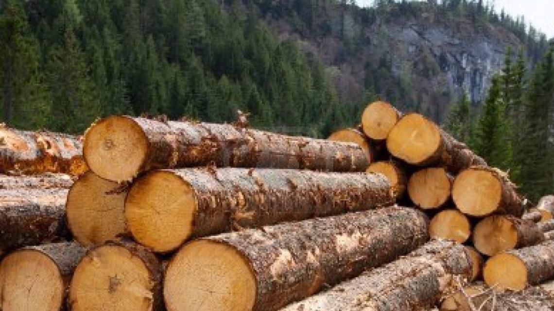 Logging allowed to continue in Oregon under coronavirus rules