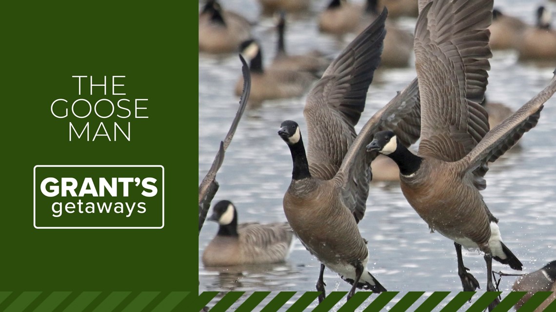 Meet the wildlife expert who wrote the book on Oregon's visiting geese | Grant’s Getaways