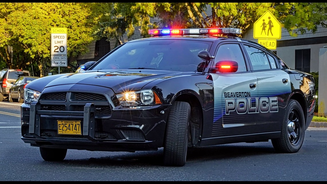 Beaverton police arrest man after dog left in hot car