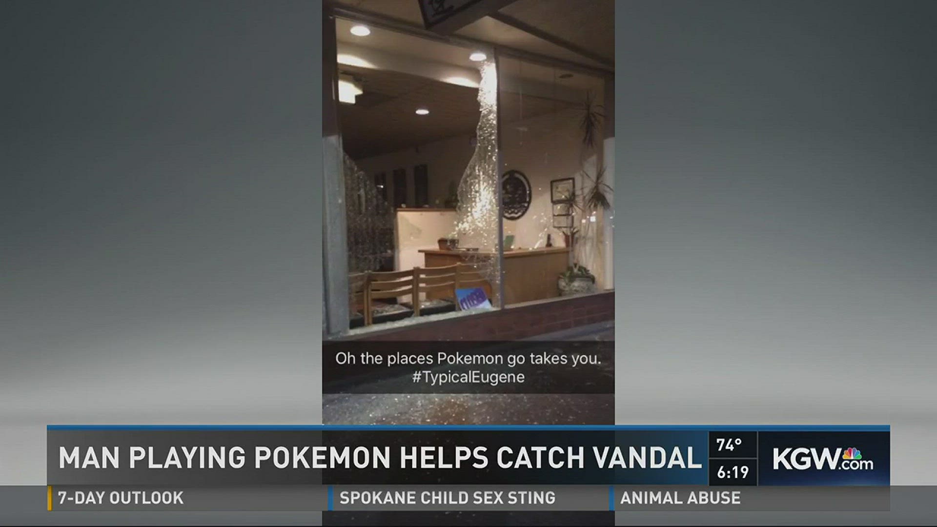 Man playing Pokemon Go helps catch vandal