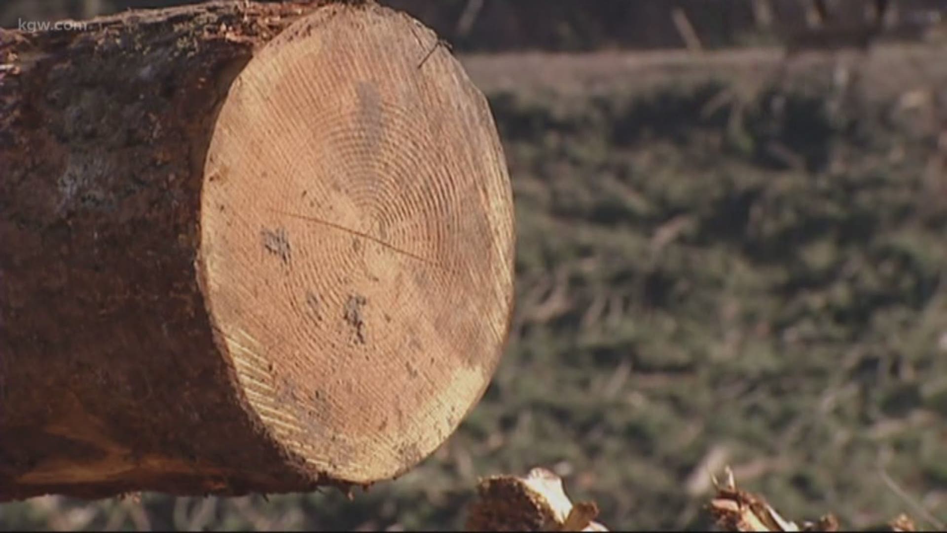 Oregon Gov. Kate Brown announced a new deal signed by a dozen timber companies and environmental groups.