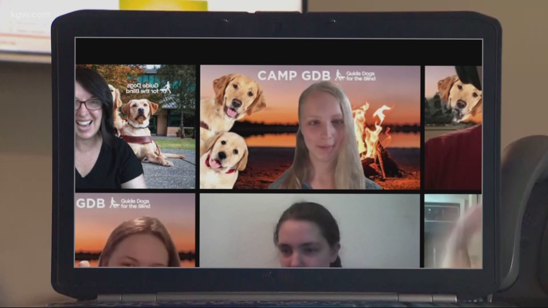 How a camp for the visually impaired and their guide dogs went virtual this summer.