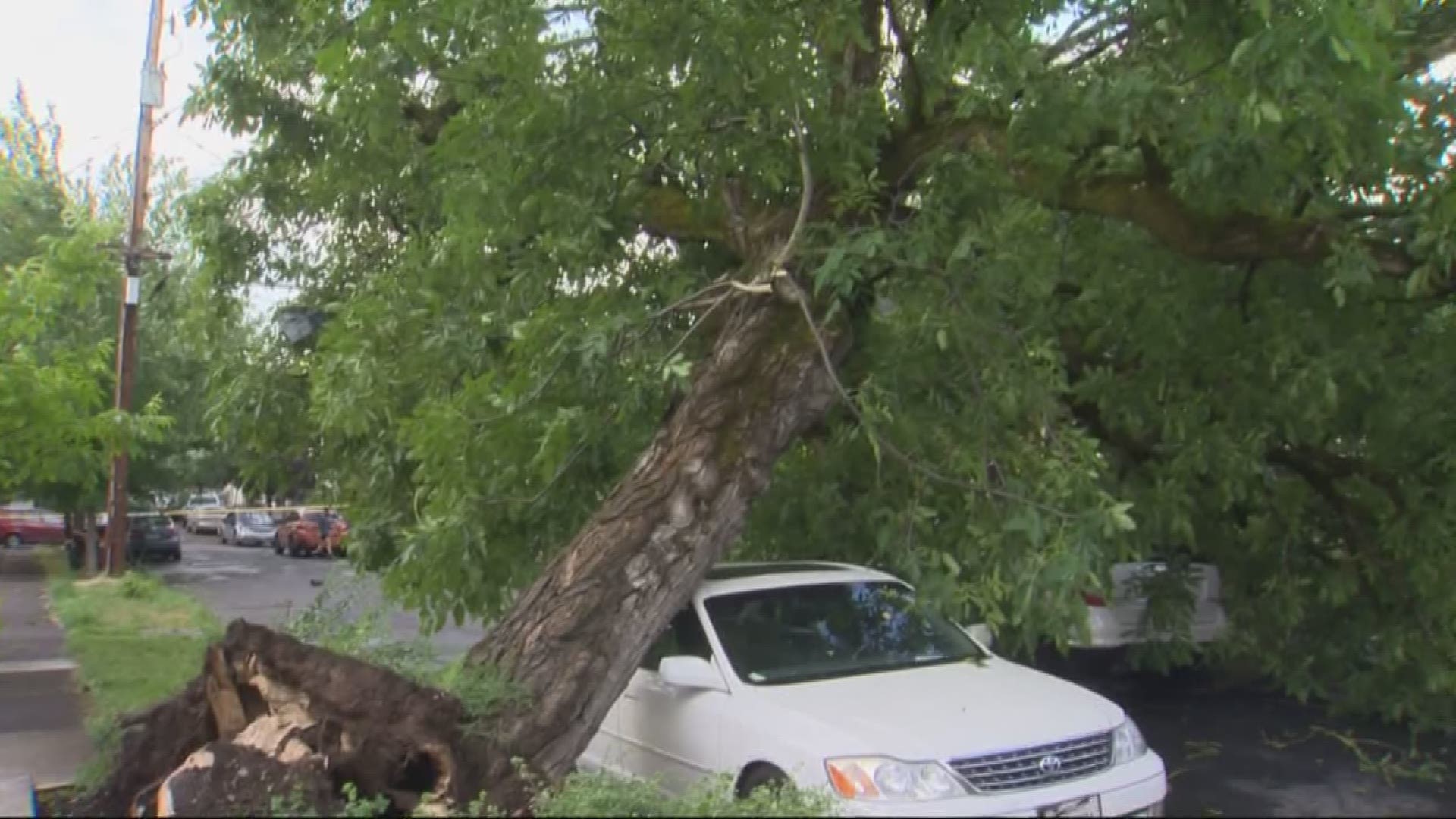 Crews were cleaning up damage Tuesday morning after a tornado touched down in NE Portland on Monday night.