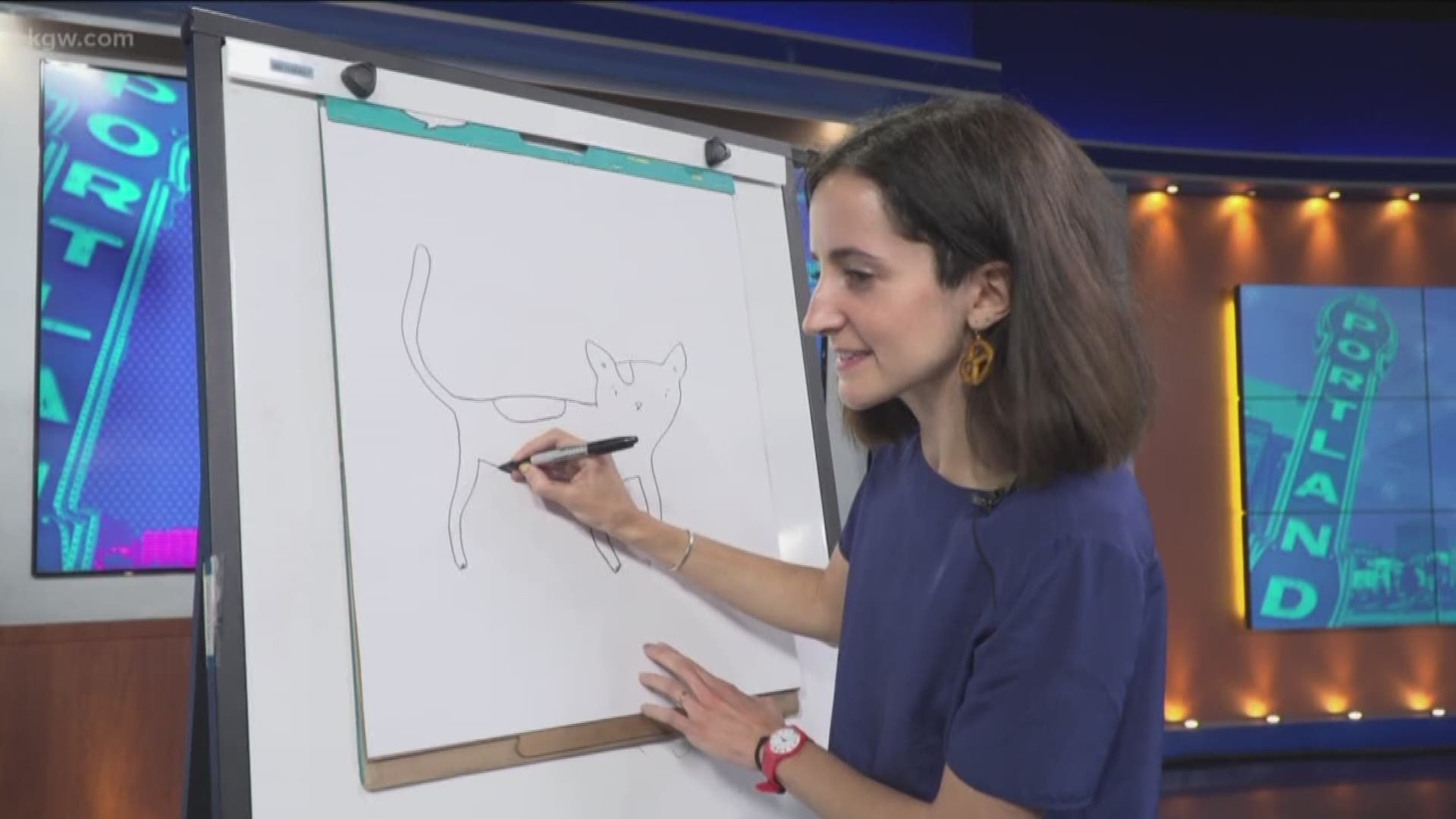 Drawing with Sad Animal Babies author Brooke Barker