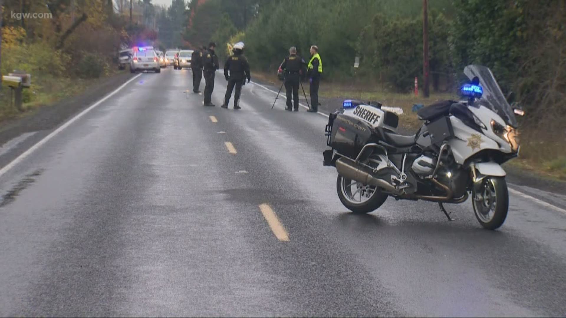 A man was hit and killed by a car north of Forest Grove.