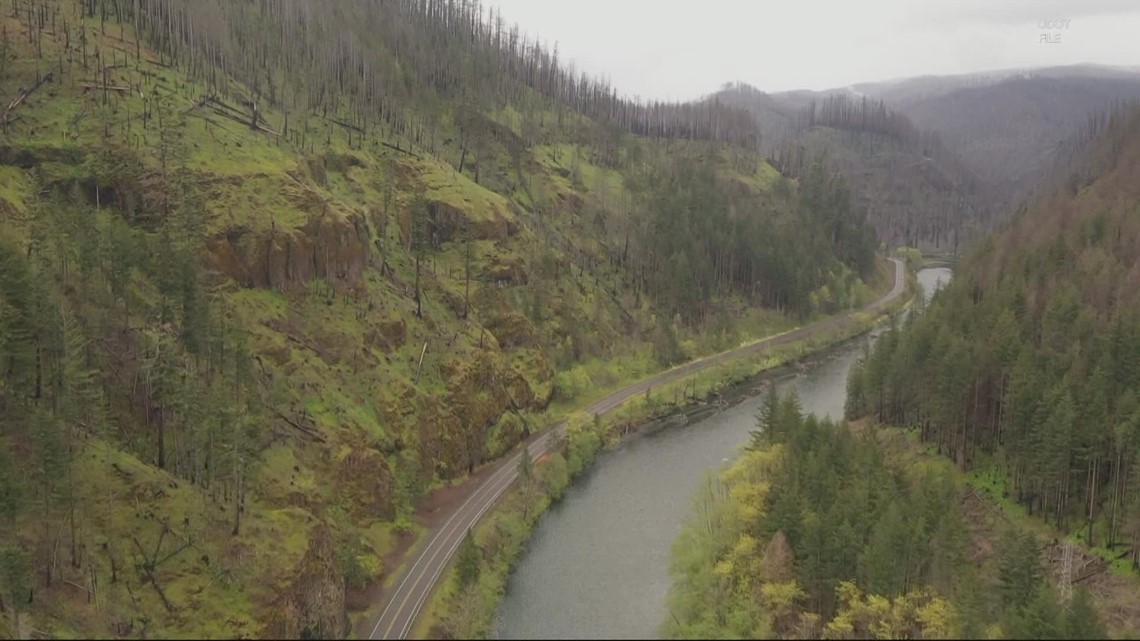 Parts of Willamette National Forest reopen after wildfire damage