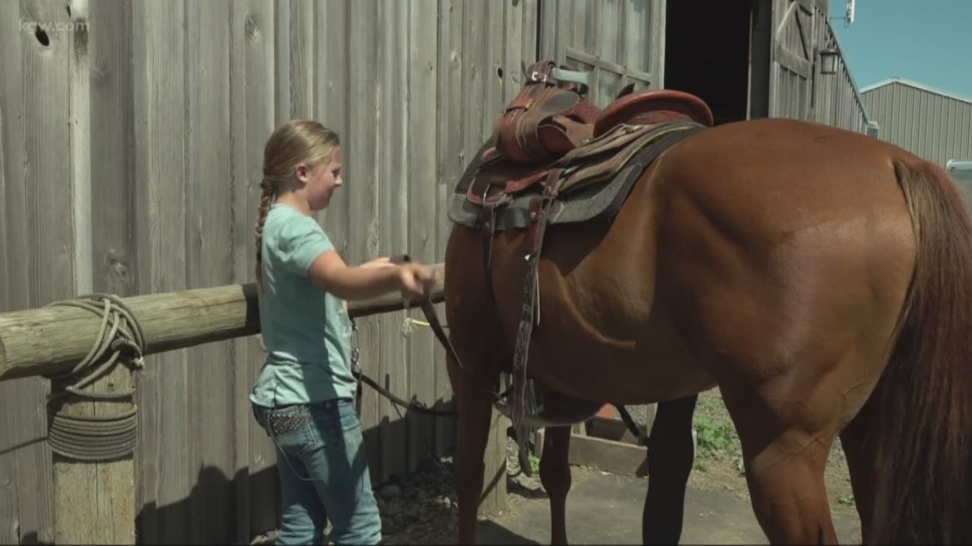 A 10-year-old horse trainer received the gift of a lifetime.

Local, animal