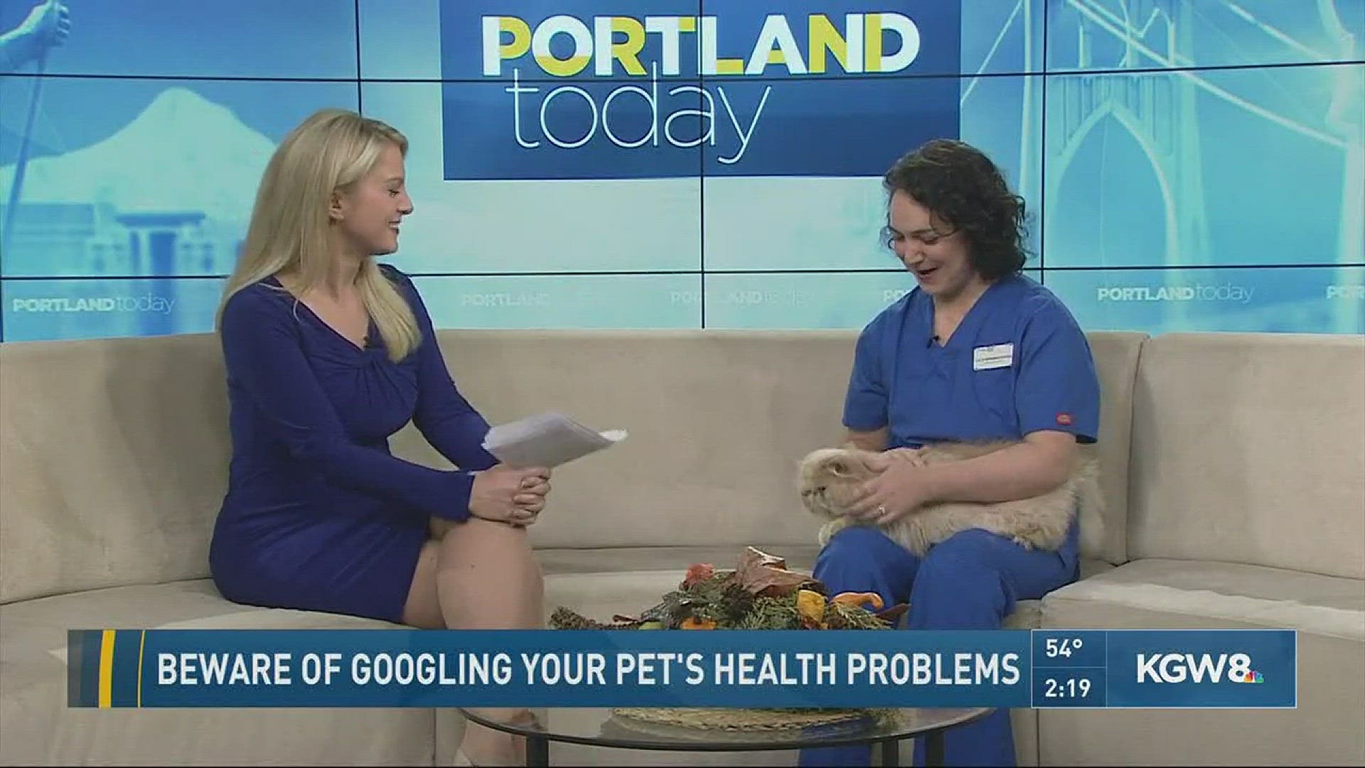 Beware of googling your pet's health problems