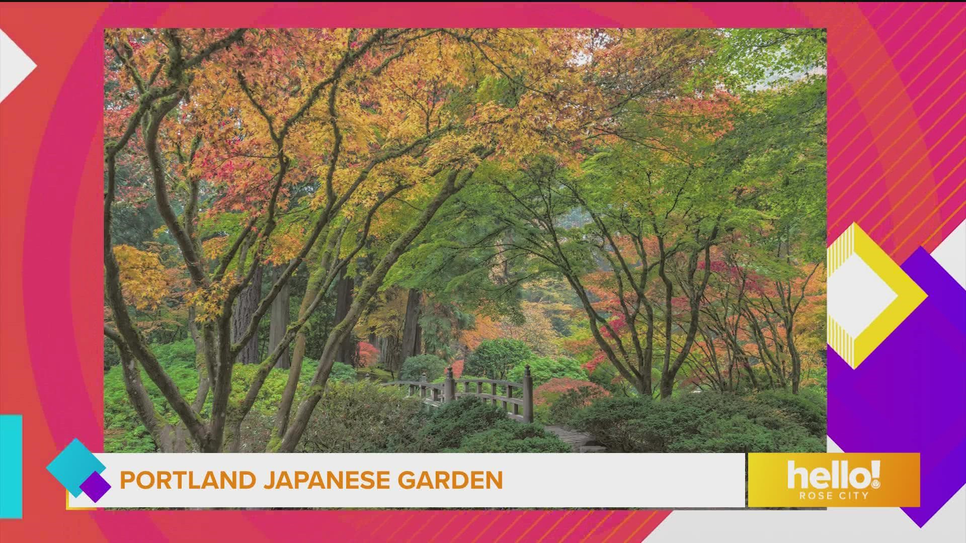 It's an especially beautiful time to visit Portland Japanese Garden and view a special exhibit featuring the art of Jun Kaneko.