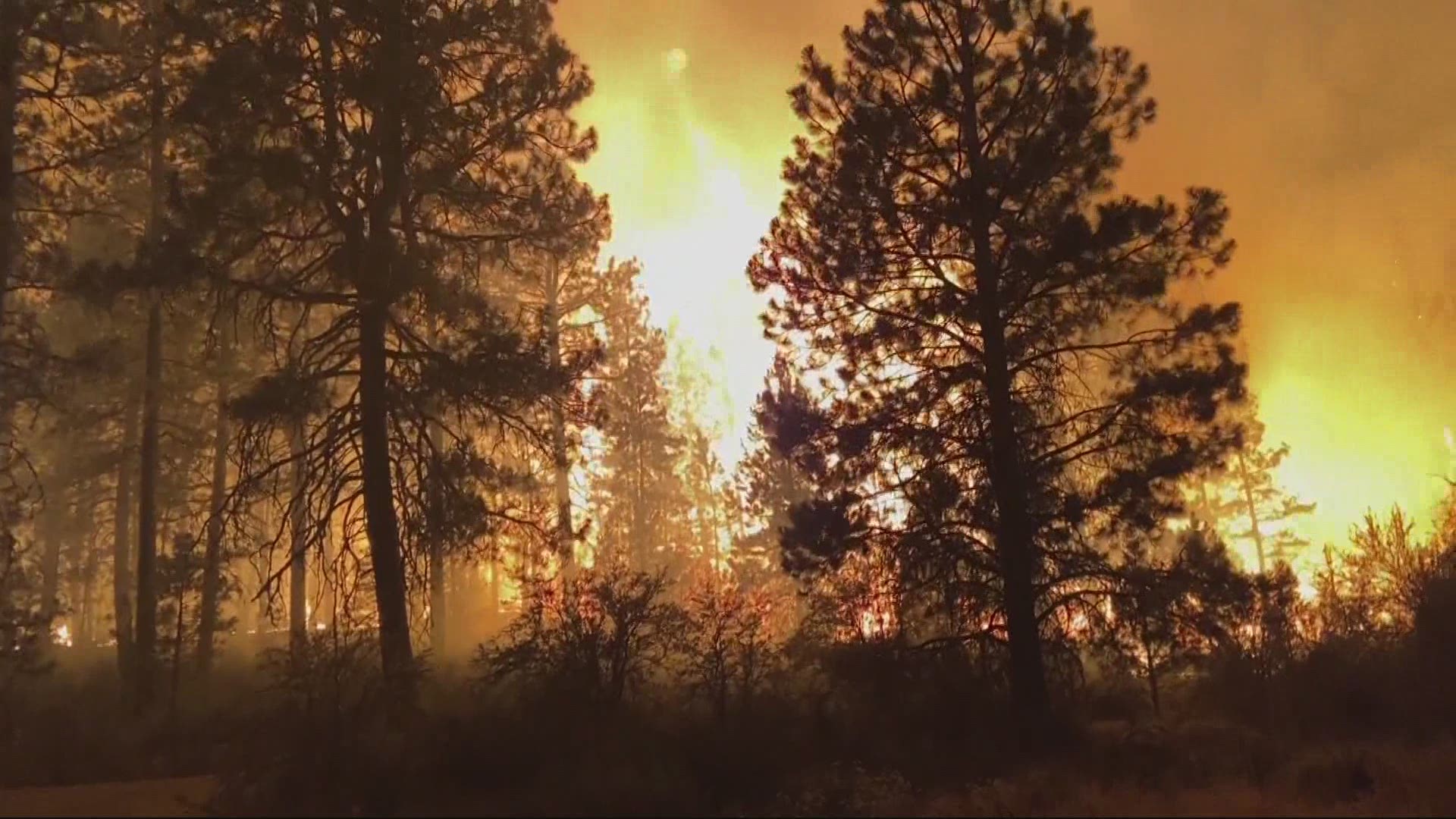 The Bootleg Fire, the nation’s largest, is one of 9 major wildfires burning in Oregon. The governor spoke about the threat and how the state is dealing with it.