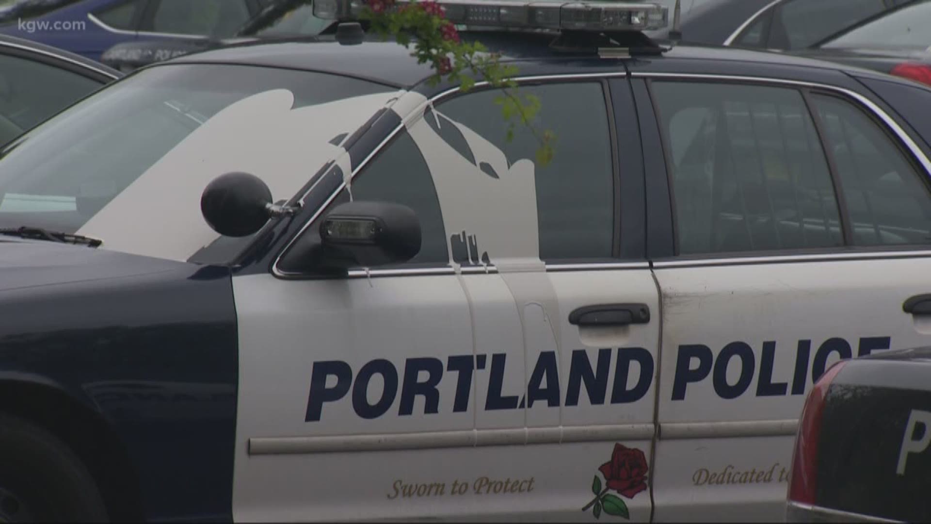 Paint dumped on 22 Portland police cars