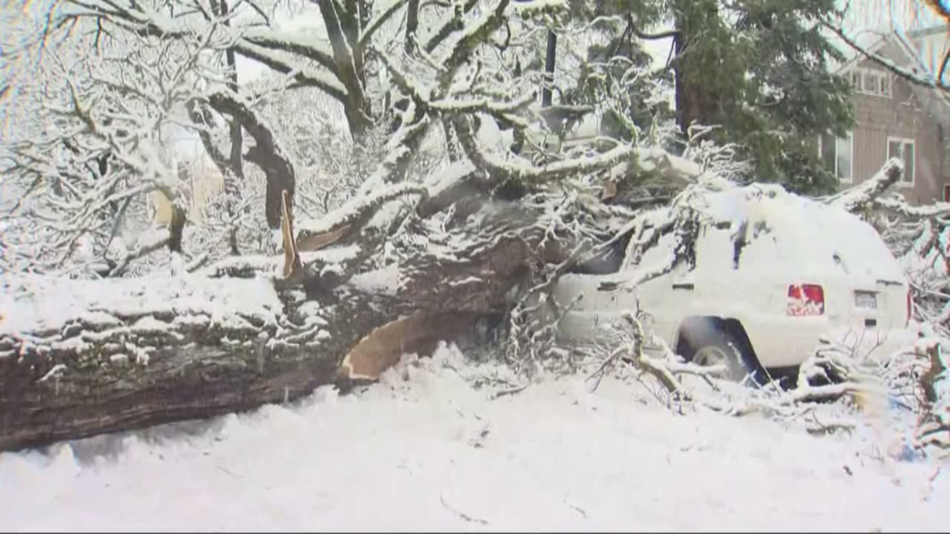 Eugene hit with a foot of snow