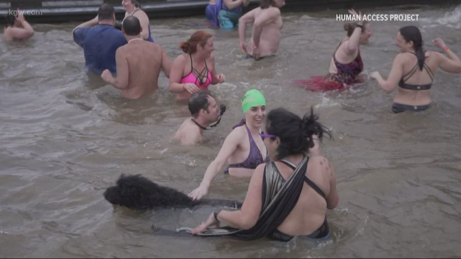 About 100 people will jump into the frigid Willamette River Saturday morning. They’re taking part in the 3rd annual Valentine’s Day Dip
