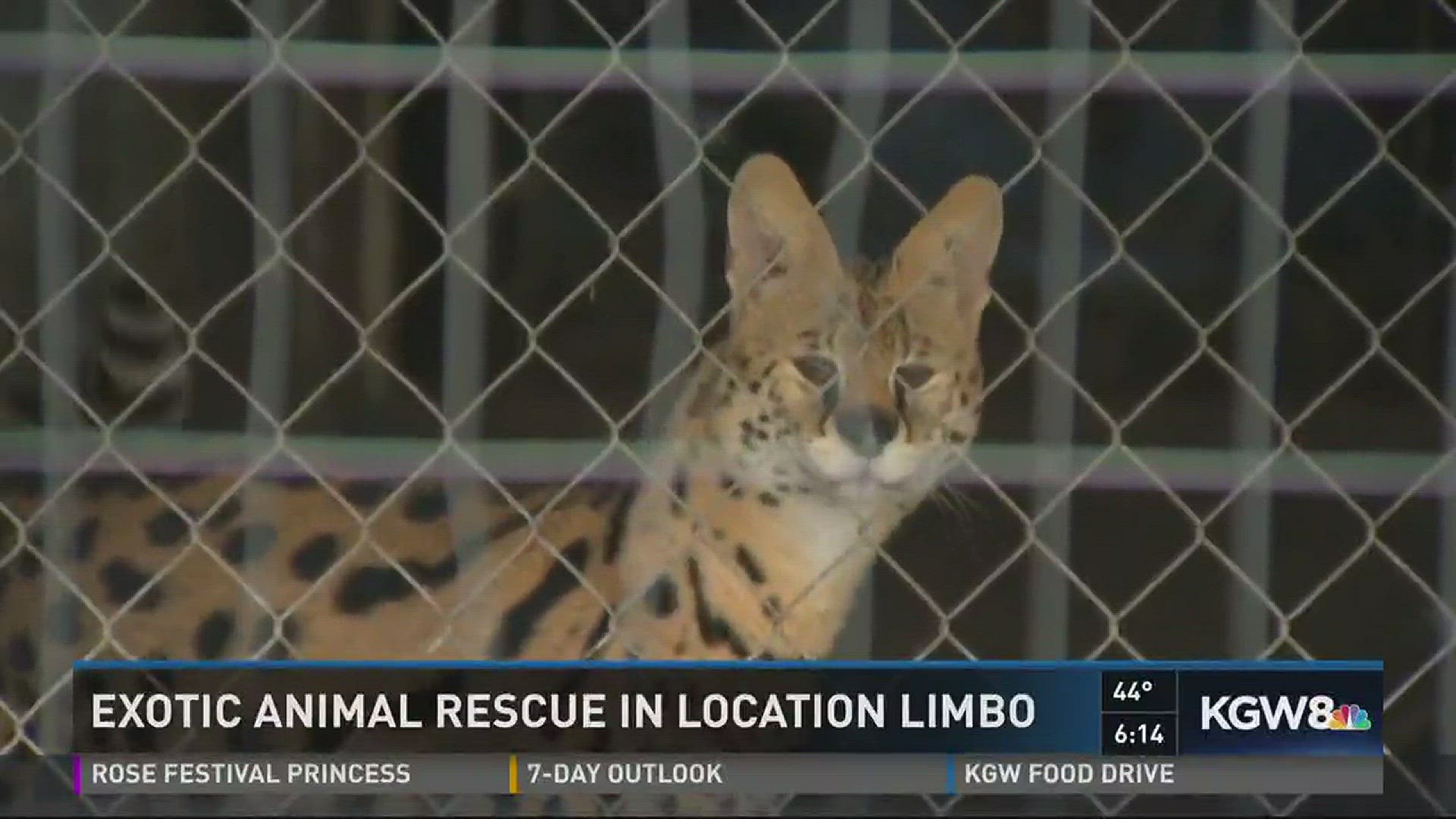 Exotic animal sanctuary's move to Hillsboro in limbo 