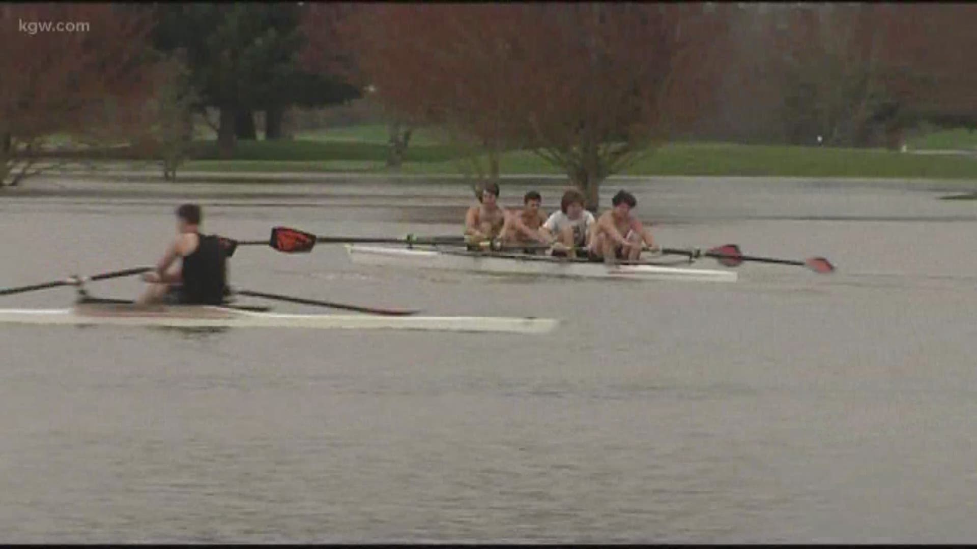 Oregon State rowing ream practices on flooded Trysting Tree golf course