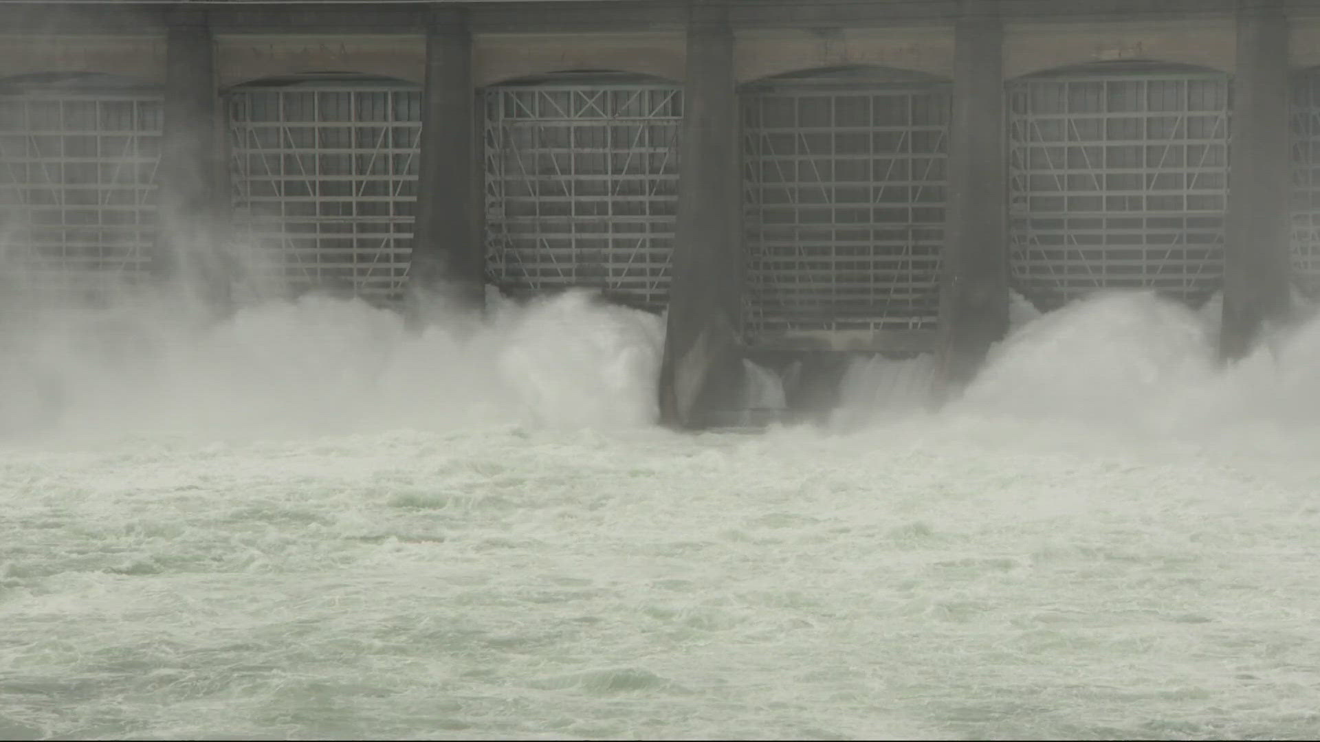 The Bonneville Dam on the Columbia River generates over 1,200 megawatts of power that goes all over the Portland metropolitan.