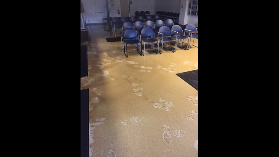 PHOTOS Pipe leak floods Lake Oswego DMV