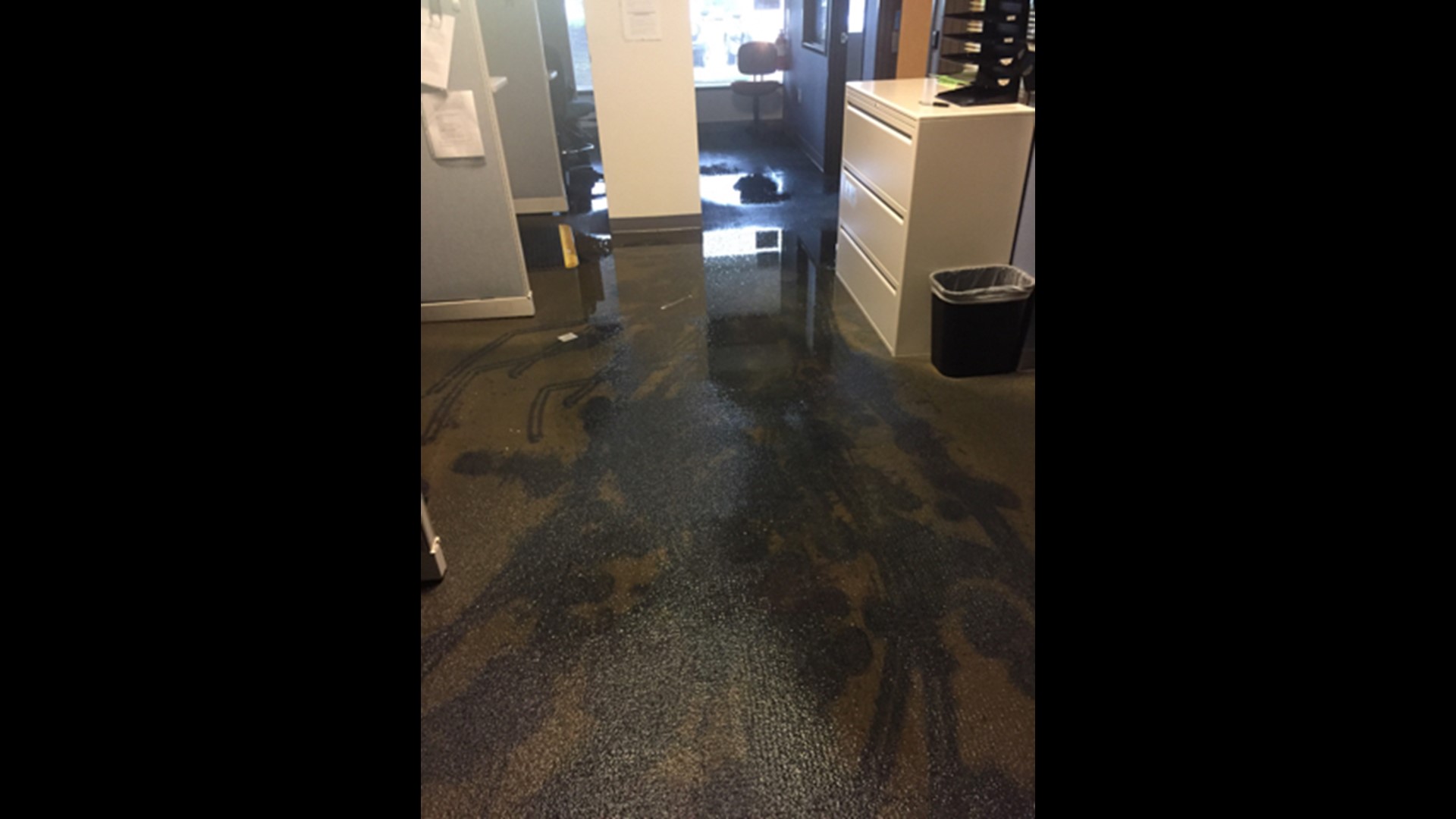 Pipe leak floods Lake Oswego DMV, will be closed for 2 weeks