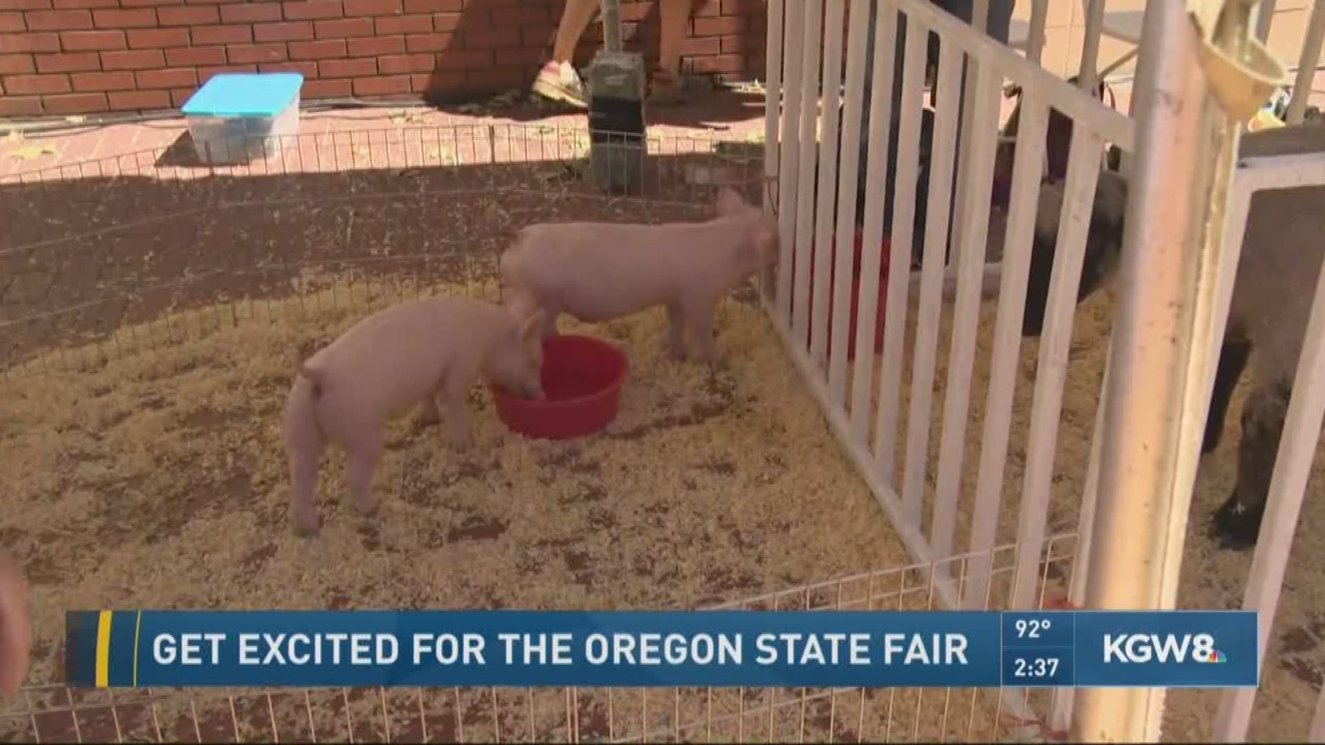 Get excited for the Oregon State Fair