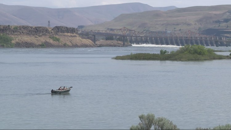 Angling for predatory fish on the Columbia River earns some fishers a decent living