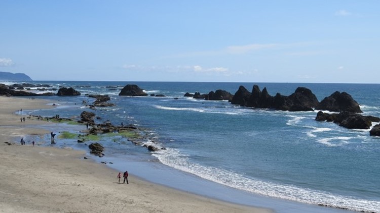 Health Advisory At Oregon Seal Rock State Park Beach For Bacteria
