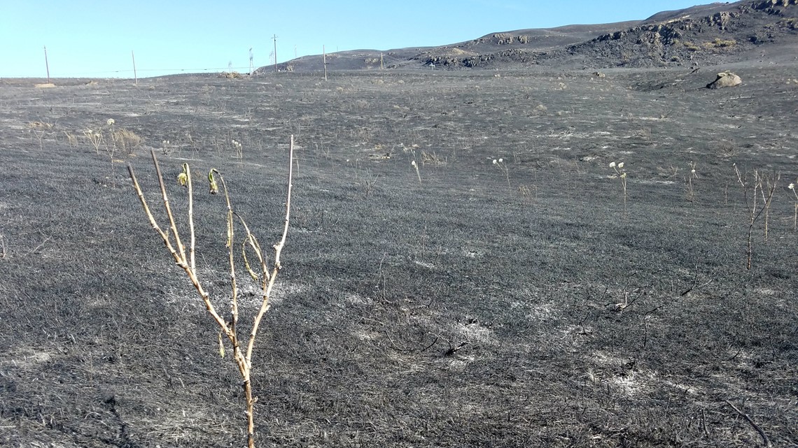 Wildfire Evacuations Lifted In Columbia River Gorge | Kgw.com