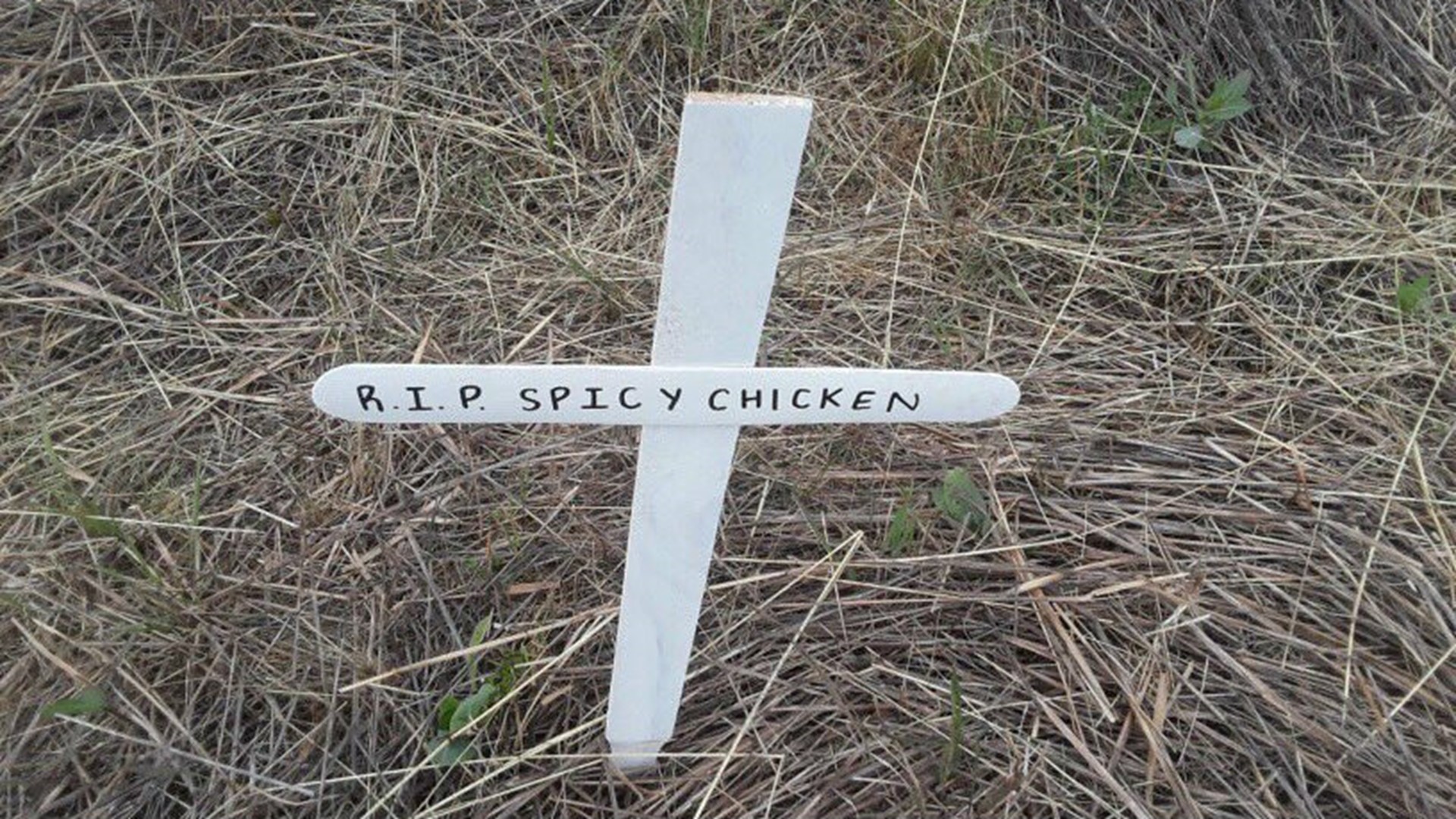 Crosses mark scene of chicken truck crash in Clark County | kgw.com