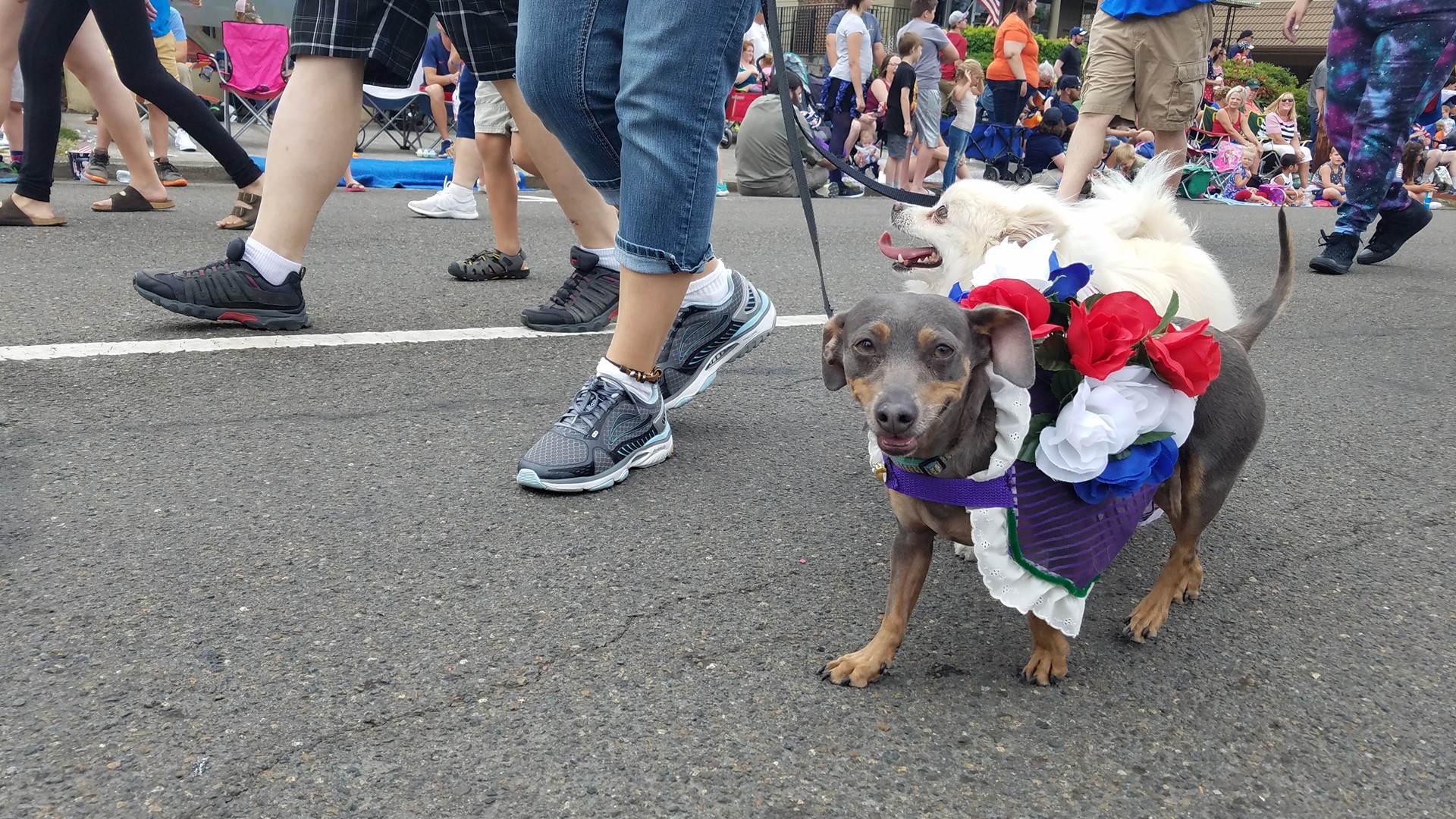 Photos: Hillsboro 4th of July parade | kgw.com