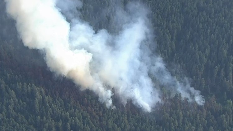 Photos: Fire at Silver Falls State Park | kgw.com