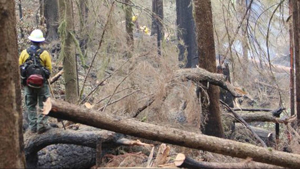 With Silver Creek Fire nearly out, officials have new questions to