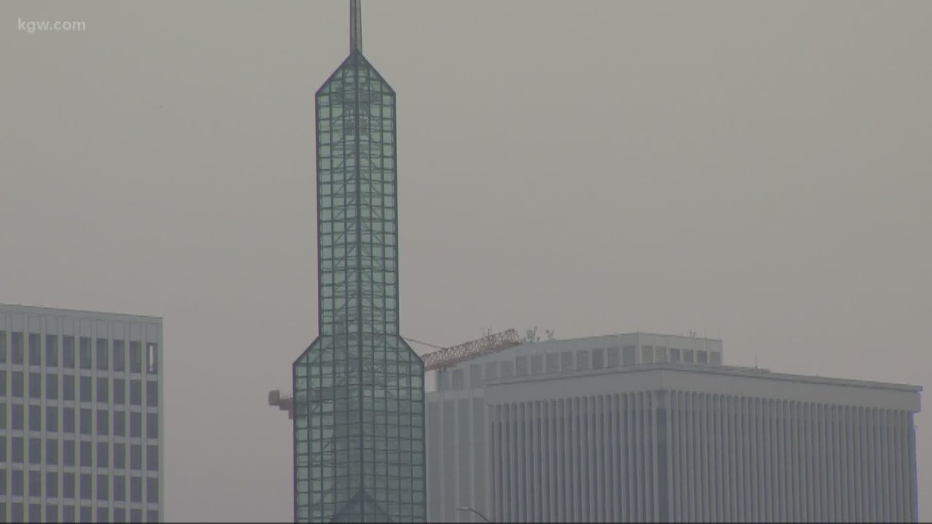 Air quality alert: how to beat the smoke