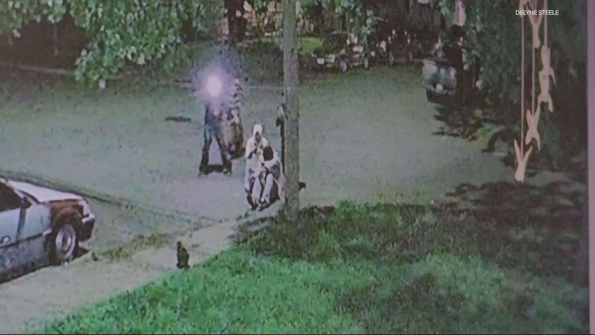 Surveillance video captured footage of five young people killing a family's cat on a sidewalk in the early morning hours of May 10.