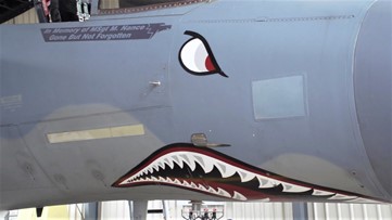 Artwork on F-15 remembers the life of longtime former crew chief