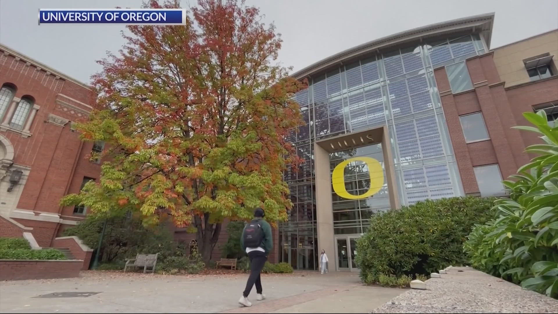 UO's athletic archivist says the tree was planted there because of a bet between both governors in the lead up to the 1958 Rose Bowl game.