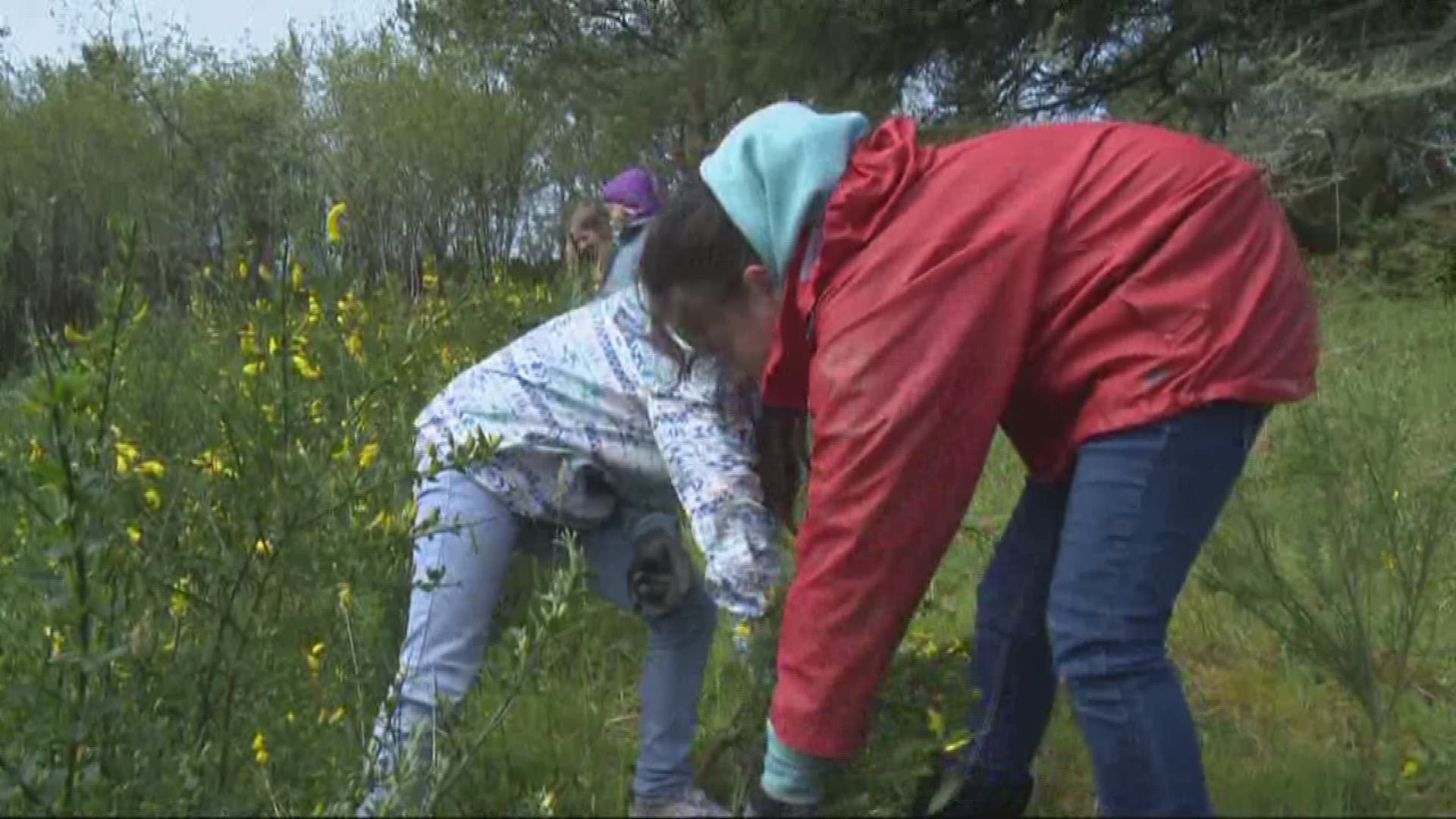 Students on the coast worked to improve a creek.
