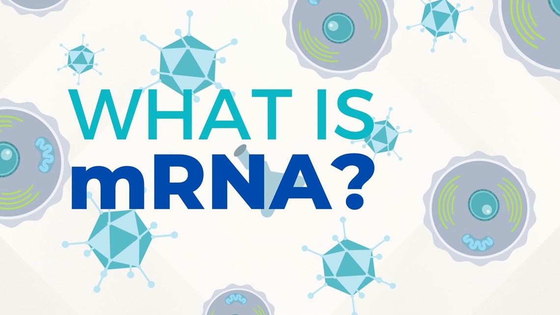 Understanding MRNA COVID-19 Vaccines | Kgw.com